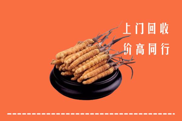 高价求购：云浮市新兴县回收散虫草