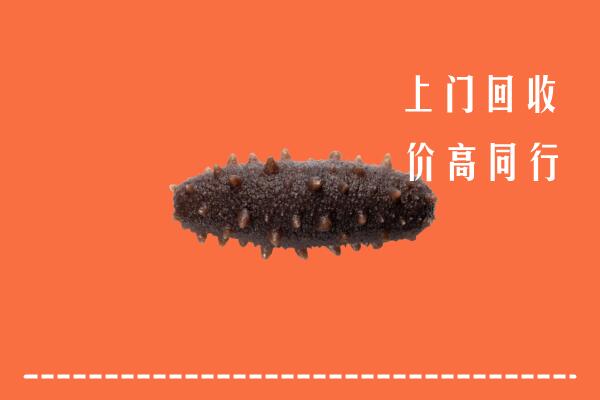 高价求购：云浮市新兴县回收海参