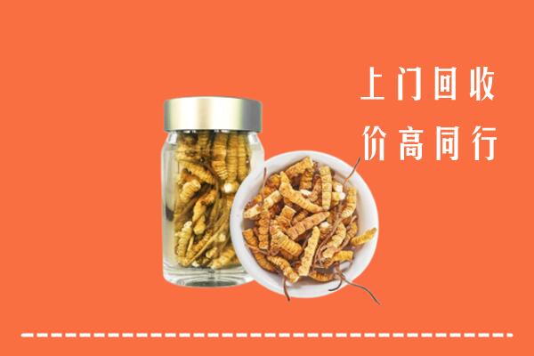 云浮市新兴县回收冬虫夏草